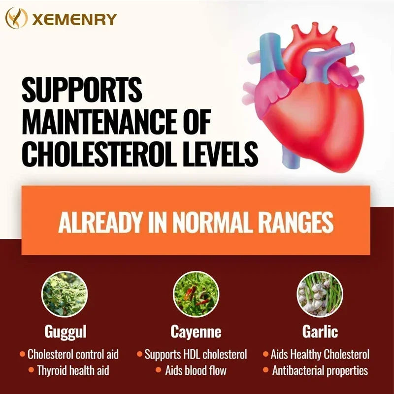 Cholesterol Supplements - Keep Blood Flowing and Promote Cardiovascular Health