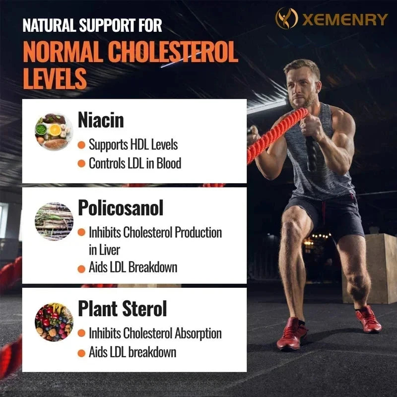 Cholesterol Supplements - Keep Blood Flowing and Promote Cardiovascular Health